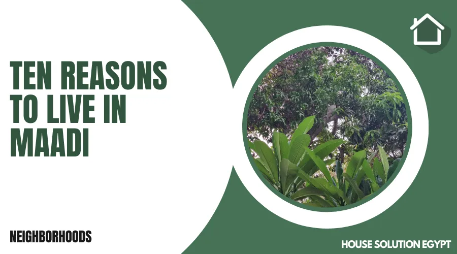 10 reasons to live in Maadi - #164 - article image
