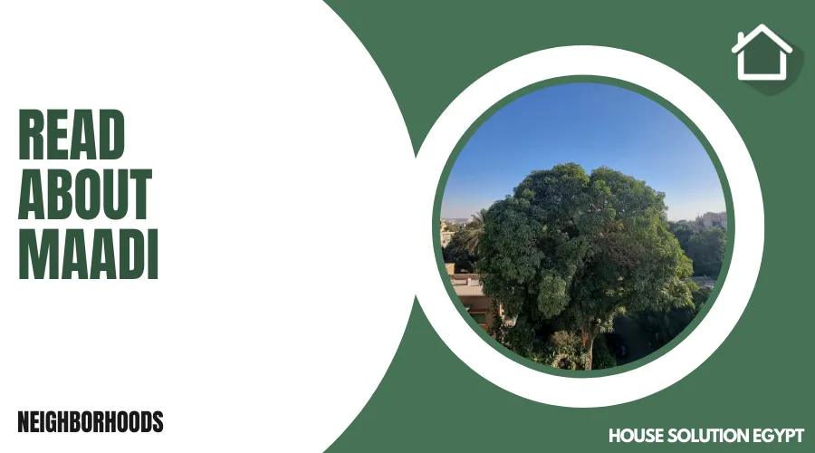 Read About Maadi - #172 - article image