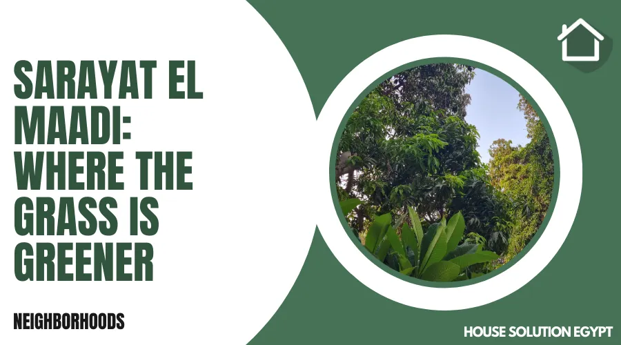 SARAYAT EL MAADI WHERE THE GRASS IS GREENER - #184 - article image