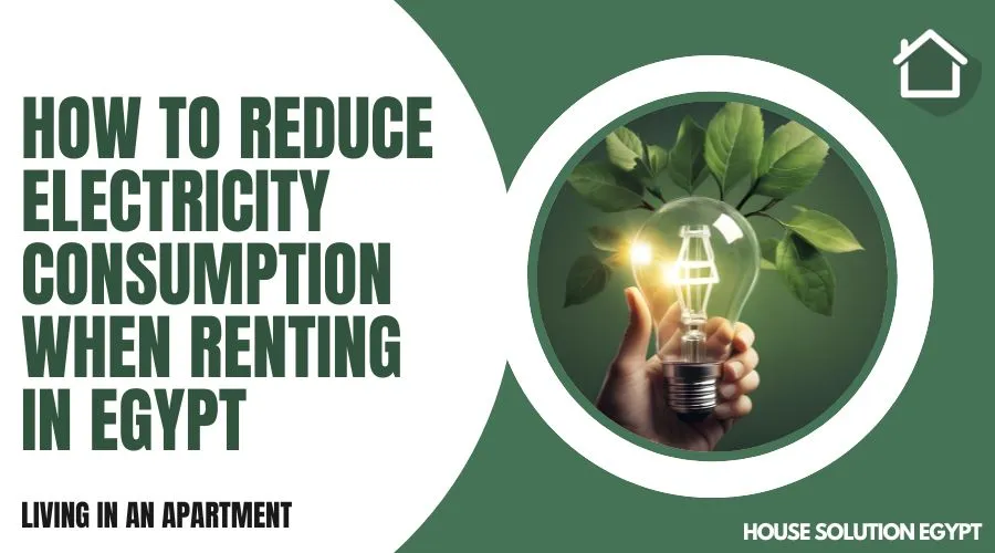HOW TO REDUCE ELECTRICITY CONSUMPTION IN AN RENTAL APARTMENT IN EGYPT - #215 - article image