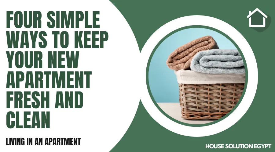 FOUR SIMPLE WAYS TO KEEP YOUR NEW APARTMENT FRESH AND CLEAN - #218 - article image