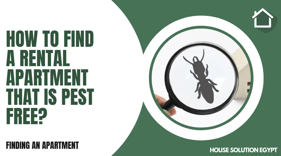 HOW TO FIND A RENTAL APARTMENT THAT IS PEST FREE? - #303 - article image