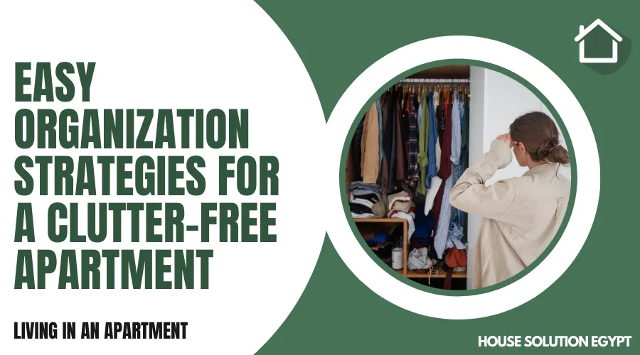 EASY ORGANIZATION STRATEGIES FOR A CLUTTER-FREE APARTMENT - #355 - article image