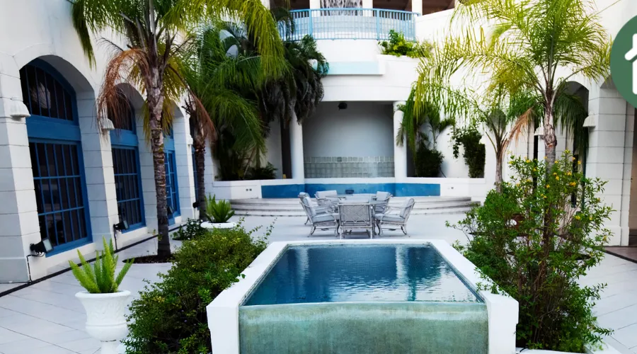 Maadi - #380 - article image