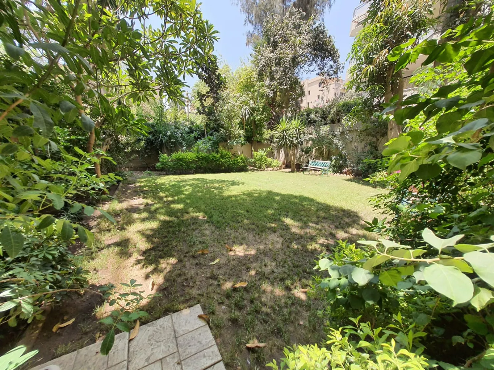 دور ارضي للبيع في المعادي سرايات المعادي مساحة: 200 م² تتكون من 3 غرفة 2 حمام مفروش 5 نجوم #5544