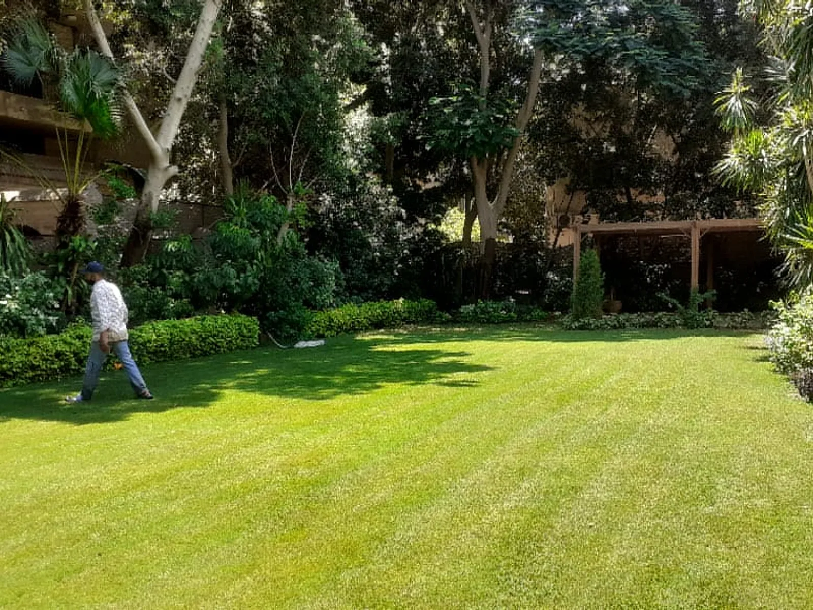 فيلات للبيع في المعادي دجله المعادي مساحة: 500 م² تتكون من 4 غرفة 4 حمام نصف مفروش 5 نجوم #6329