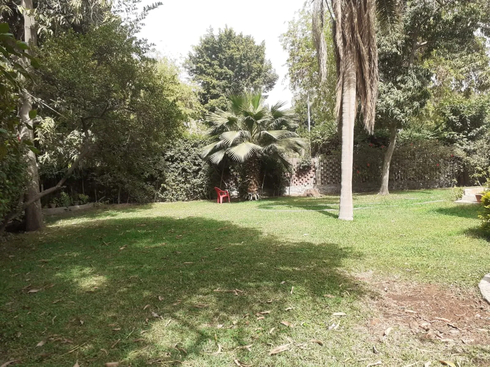 Villas For Sale In Maadi Maadi Sarayat Area: 1050 m² consists of 4 Bedrooms 3 Bathrooms Semi furnished 5 stars #6396