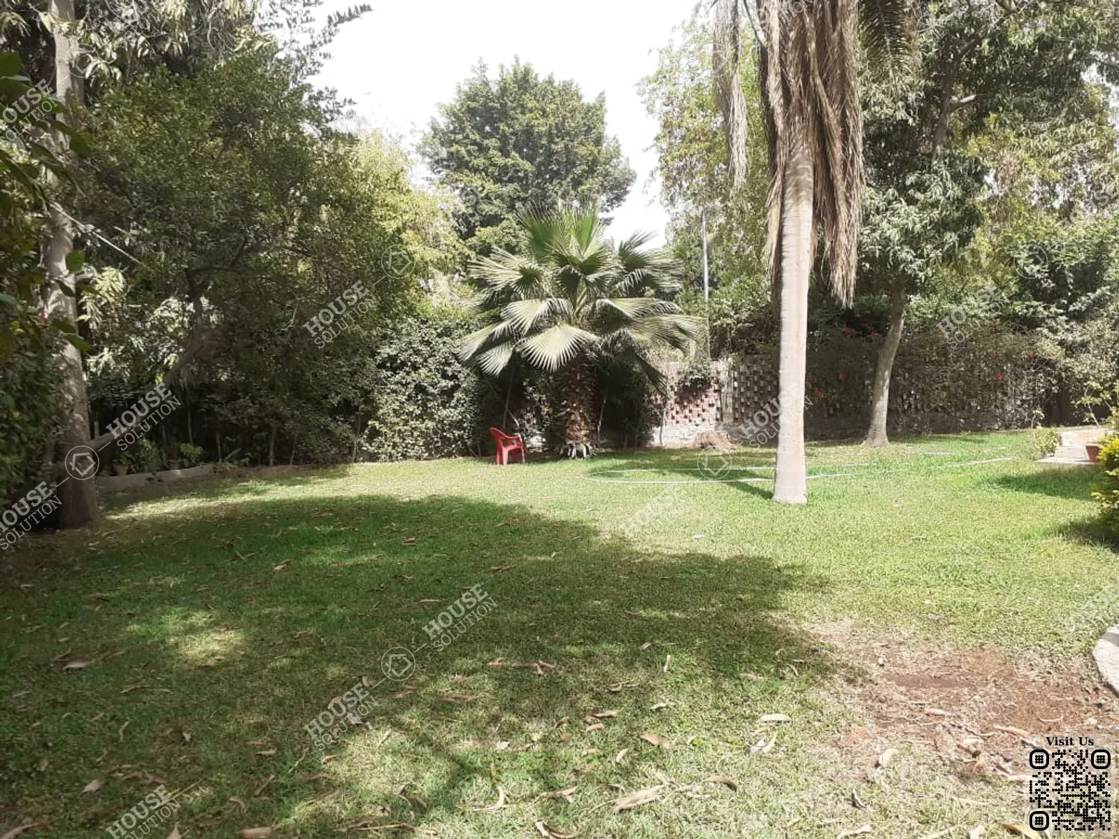 حديقة خاصة @ فيلات للإيجار في المعادي سرايات المعادي مساحة: 1050 م² تتكون من 4 غرفة 3 حمام نصف مفروش 5 نجوم #6396-0