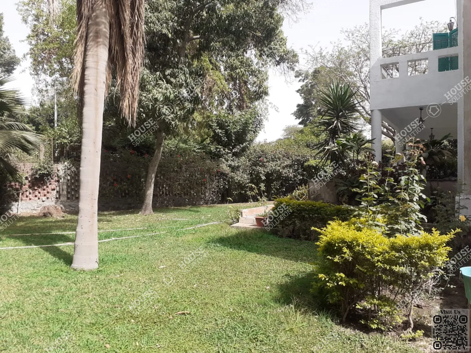 حديقة خاصة @ فيلات للإيجار في المعادي سرايات المعادي مساحة: 1050 م² تتكون من 4 غرفة 3 حمام نصف مفروش 5 نجوم #6396-1